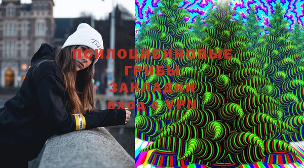 крисы Ростов