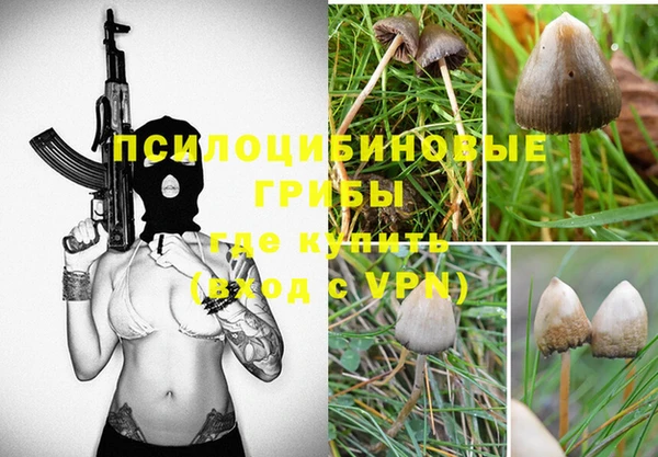 крисы Ростов