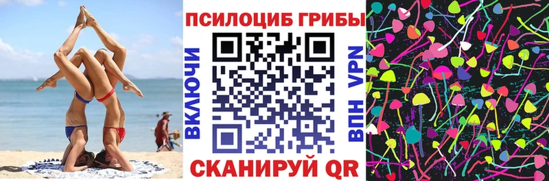 Купить закладки  Ачхой-Мартан  Галлюциногенные грибы MAGIC MUSHROOMS 